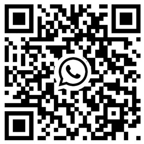 WhatsApp 8613556829425